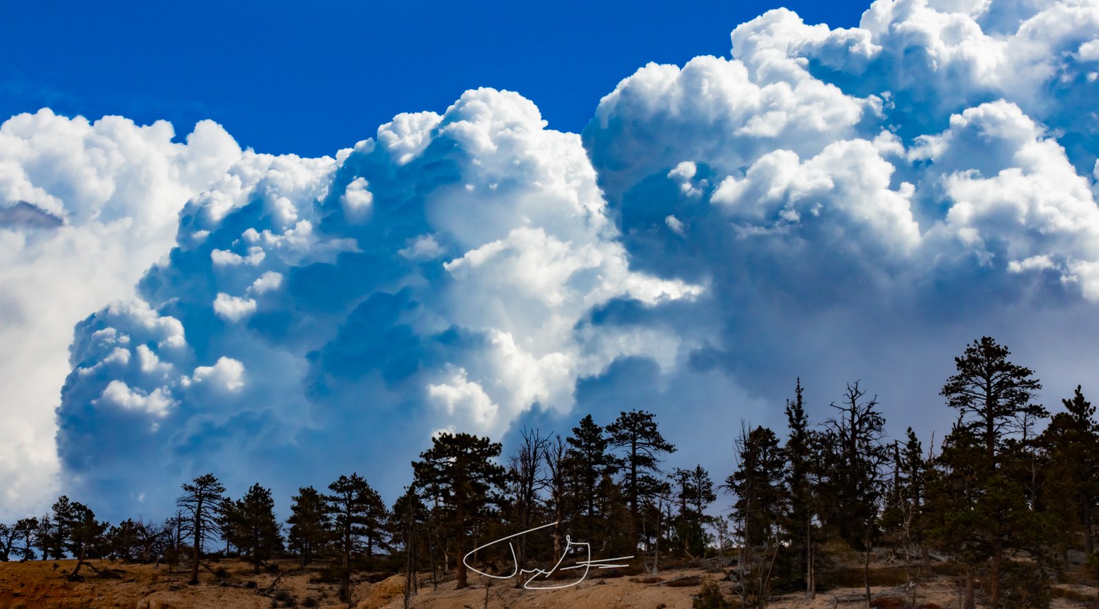 Landscape_018