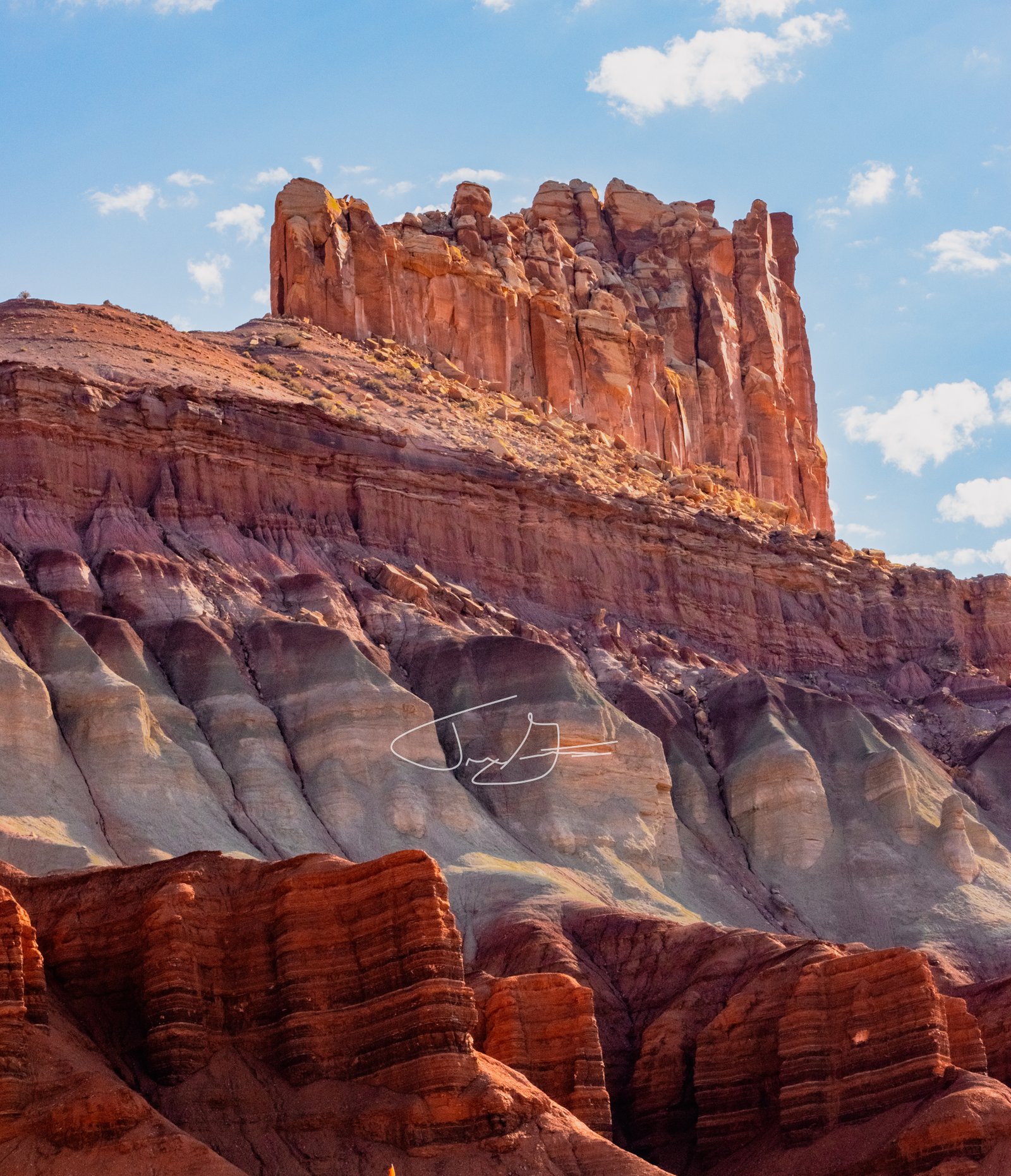Landscape_016