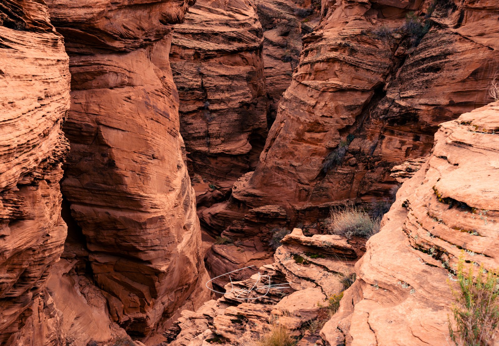 Landscape_006