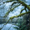 Nature_024