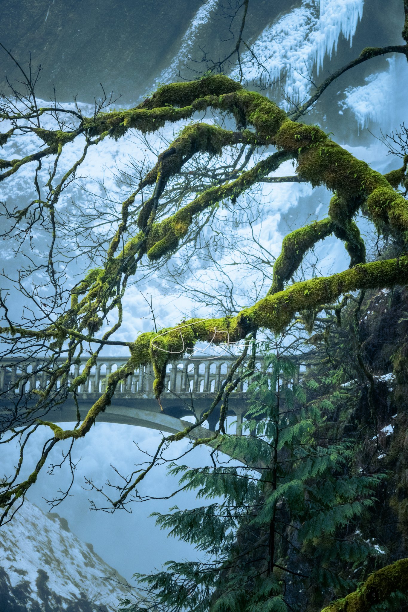 Nature_024