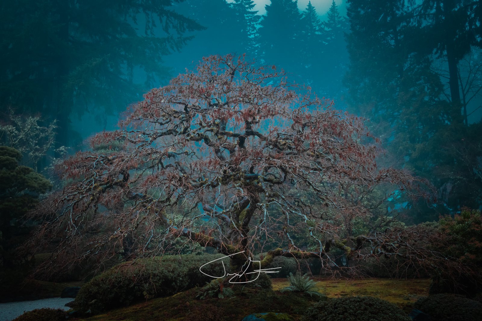 Nature_023