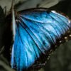 Nature_019