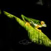 Nature_014