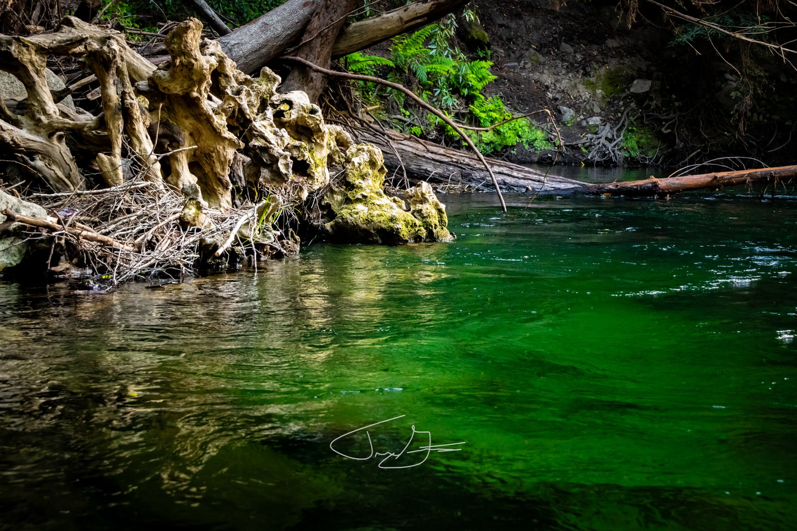 Nature_006