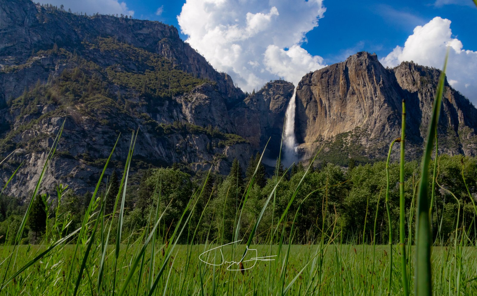 Landscape_003