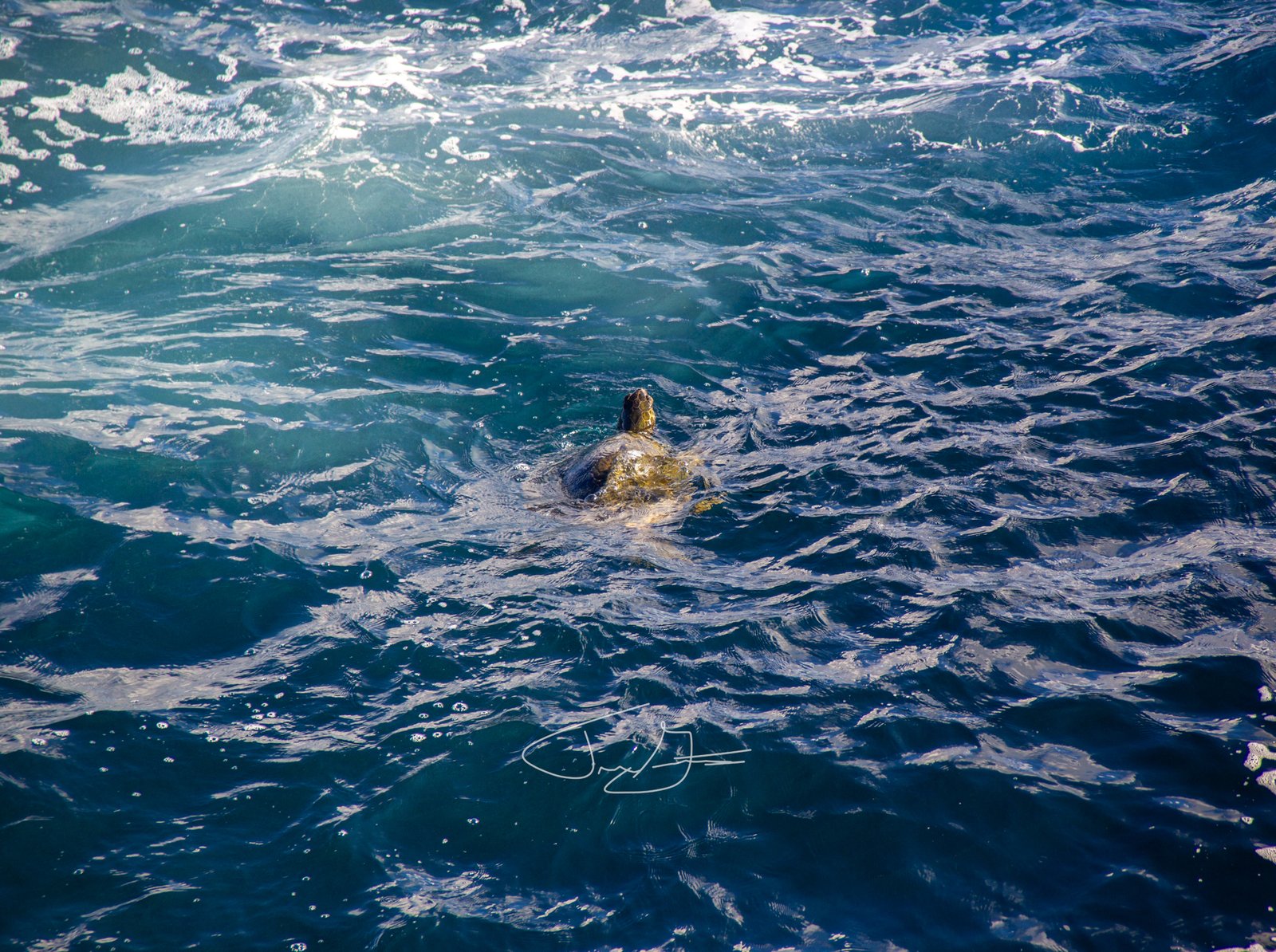 Nature_001