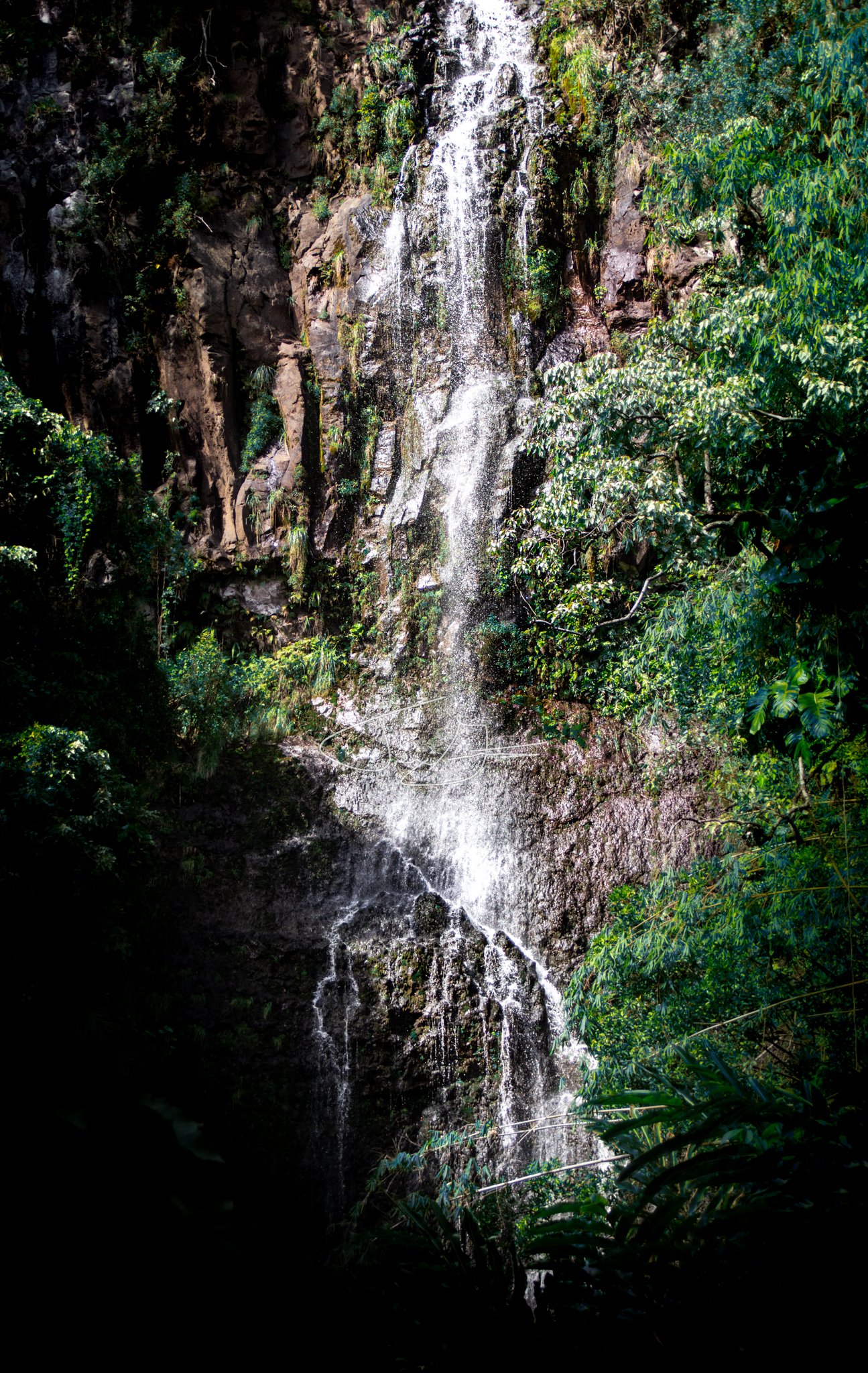 Nature_028