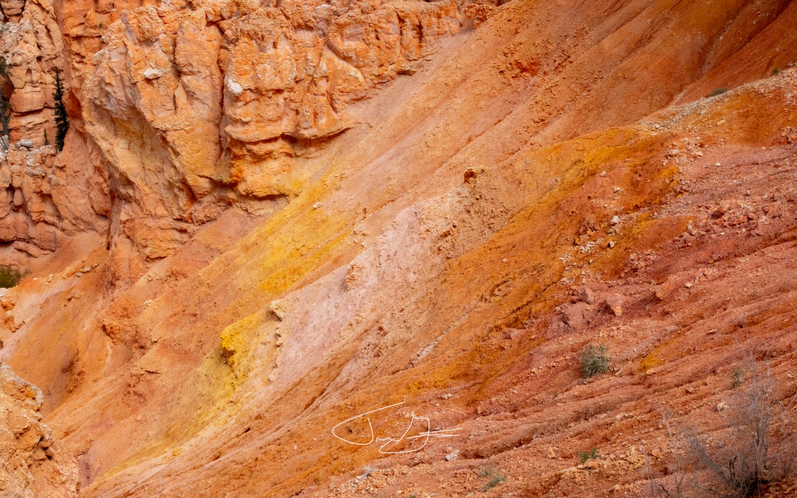 Landscape_036