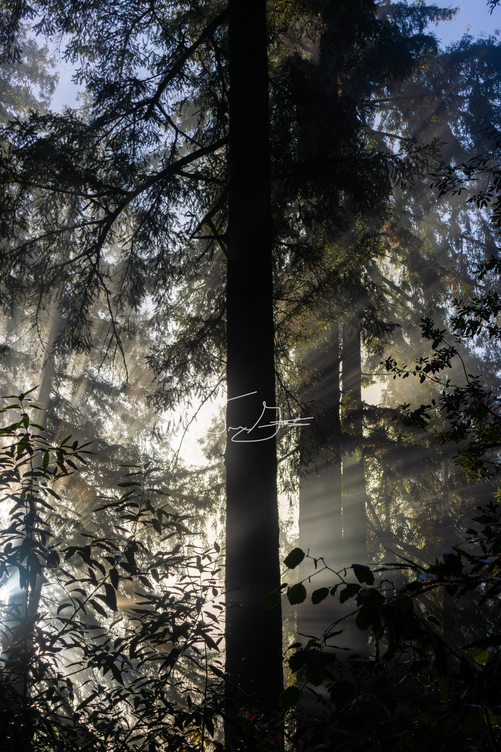 Nature_031