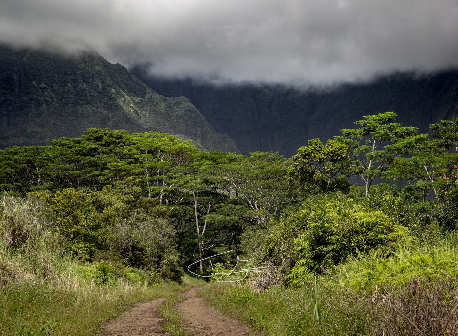 Landscape_031