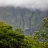 Landscape_030