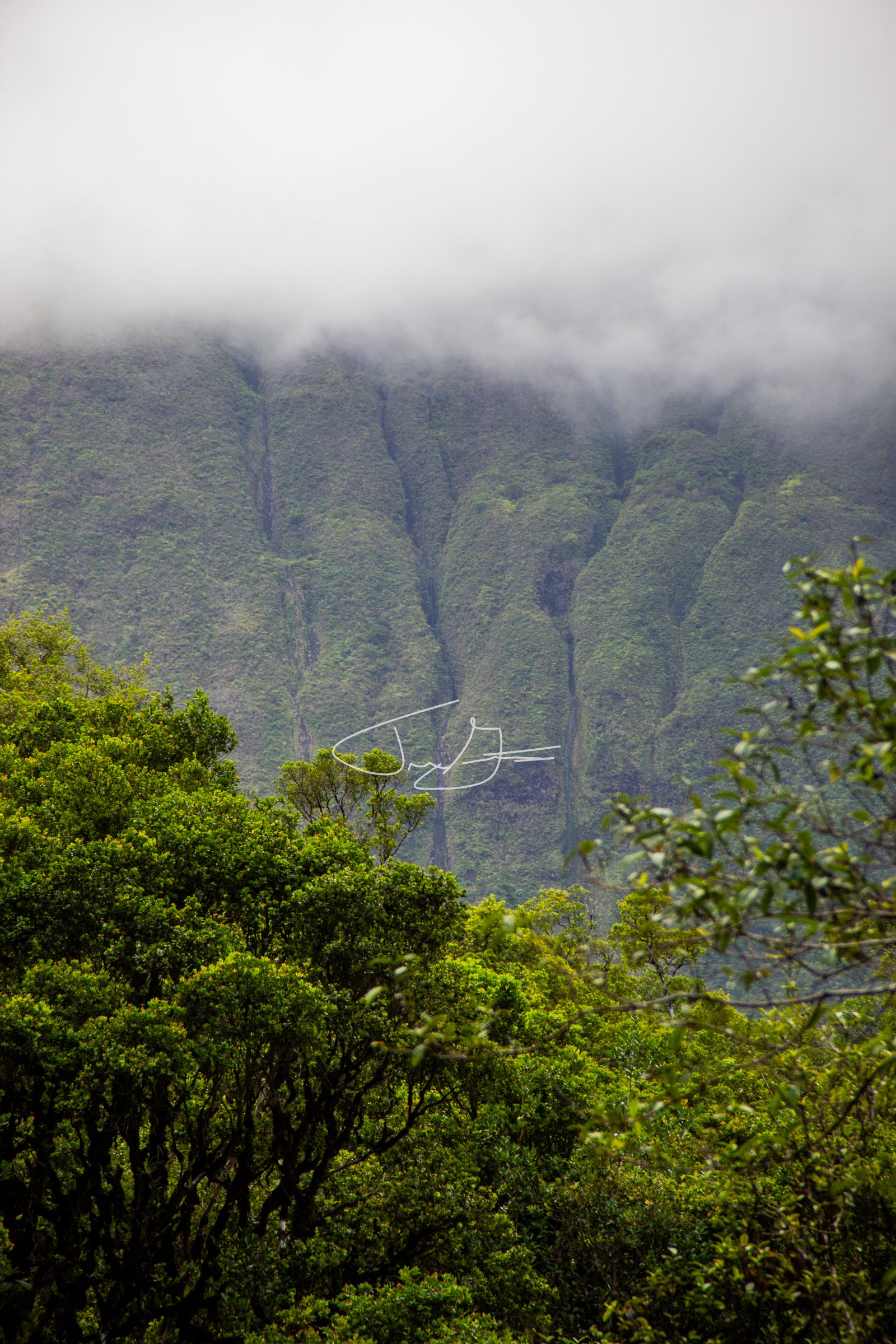 Landscape_030