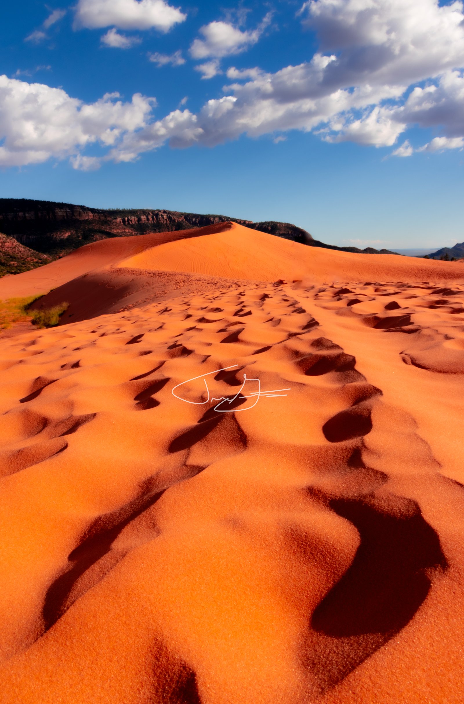 Landscape_014