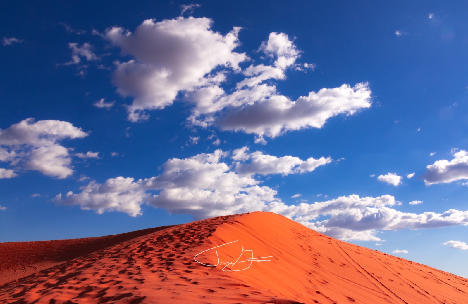 Landscape_007