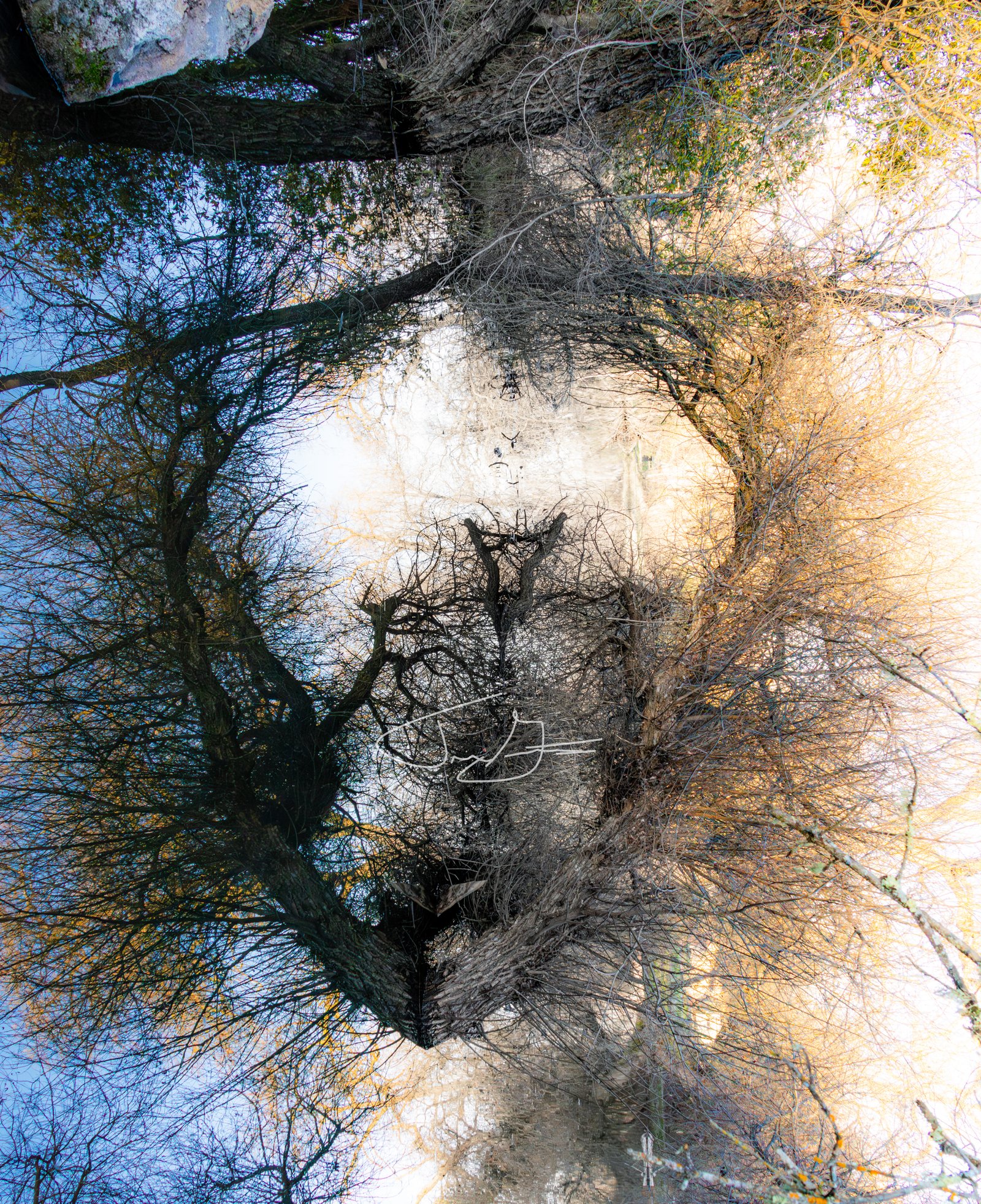 Nature_032