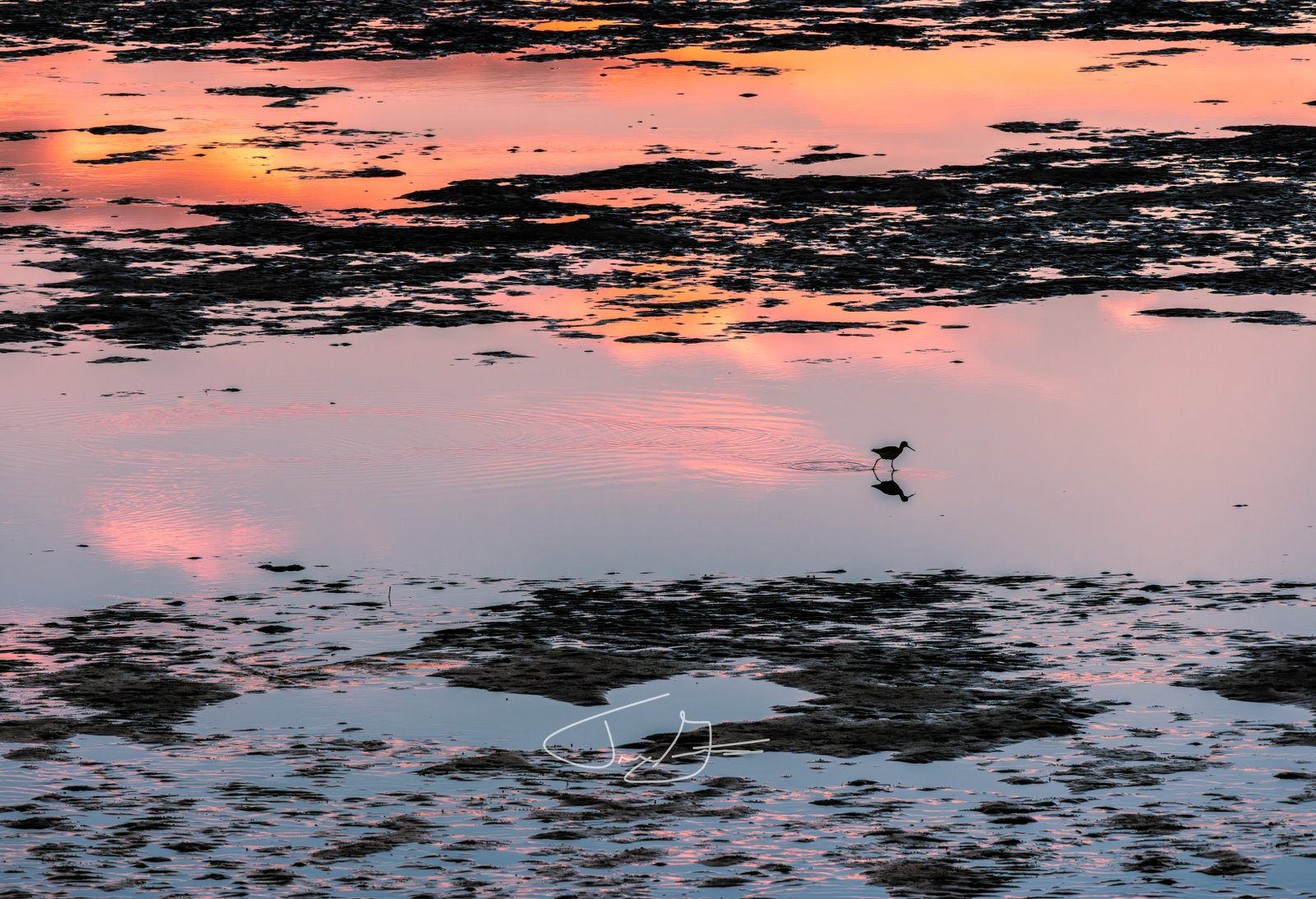 Nature_016