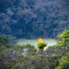 Nature_027